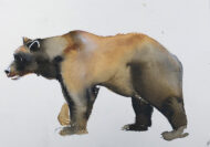 dieren
